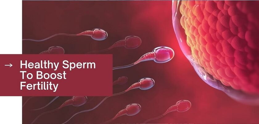 How To Make Sperm Thicker And Stronger To Boost Fertility?