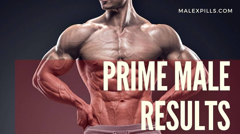 Prime Male Results