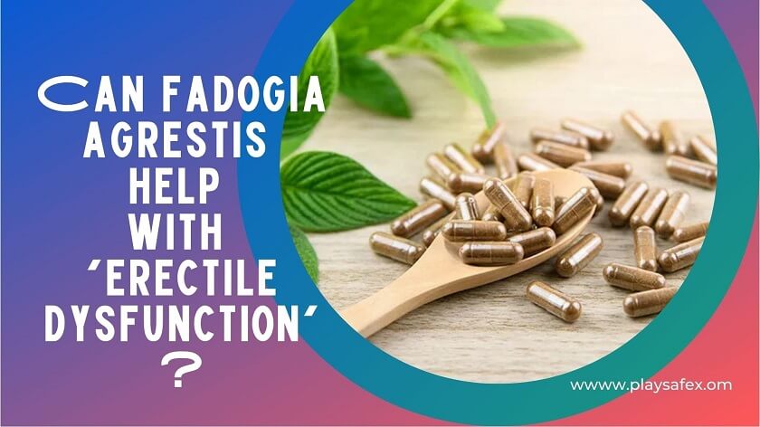 Fadogia Agrestis Erectile Dysfunction