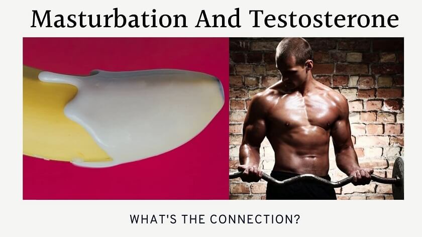 Masturbation And Testosterone Link