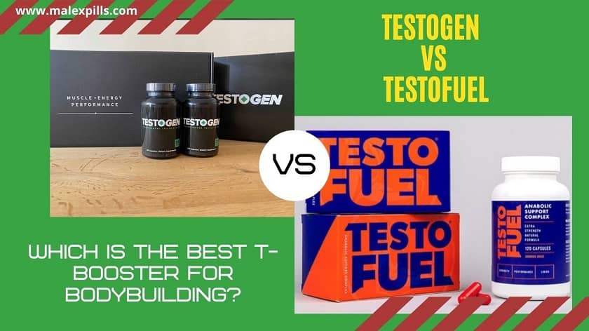 TestoGen vs TestoFuel Review
