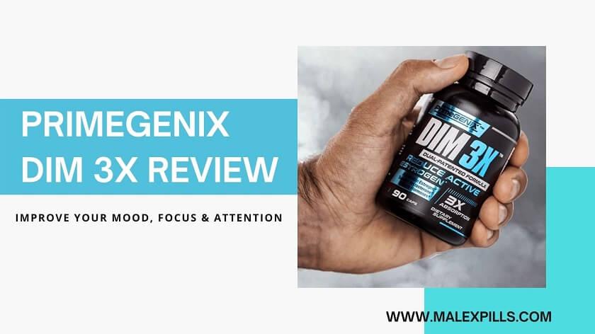 PrimeGENIX DIM 3X Review Results