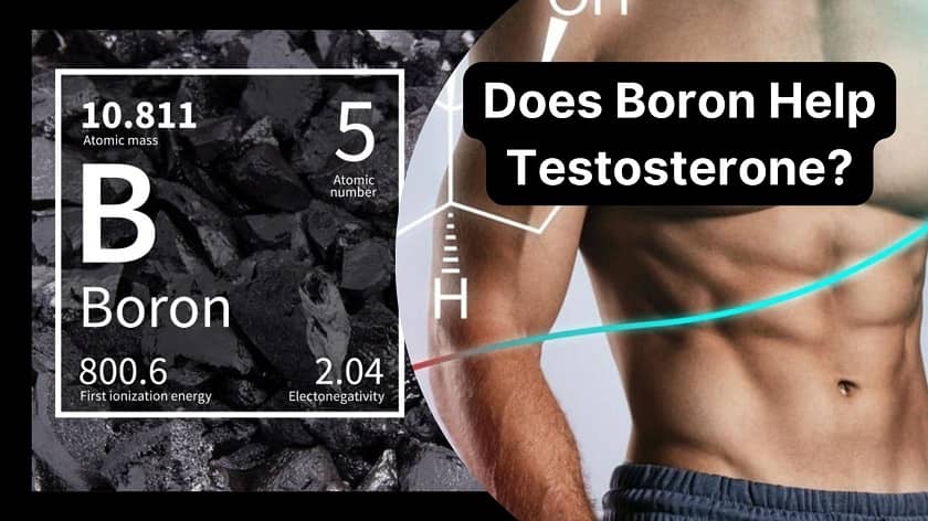 Boron For Free Testosterone
