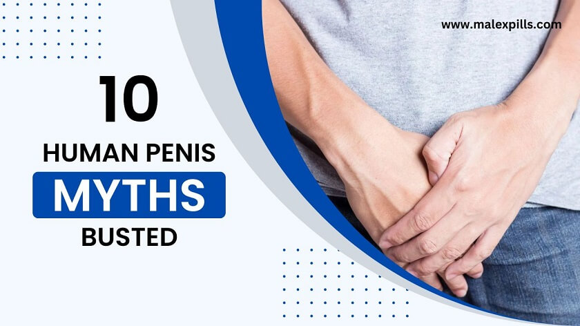 Penis Myths And Facts