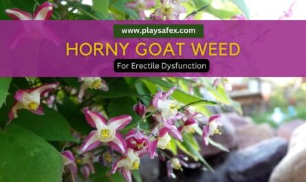 Horny Goat Weed And ED