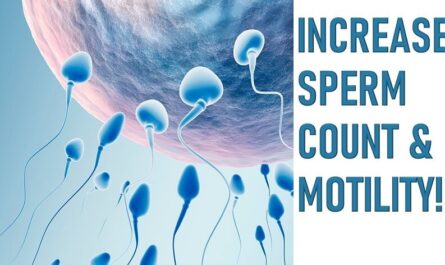 Increase Sperm Motility
