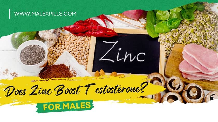 Does Zinc Increase Testosterone In Males Over 40?