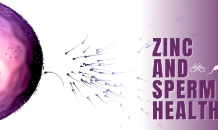 How does zinc affect sperm