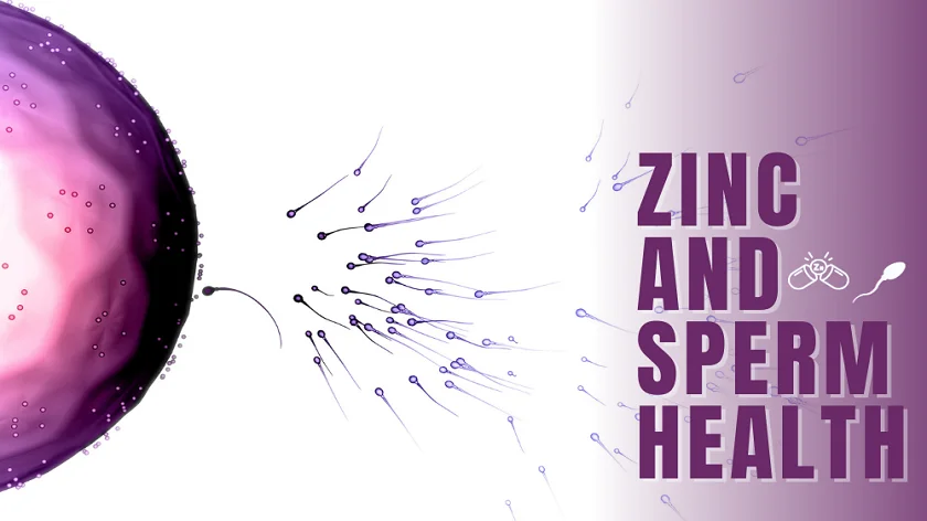 Zinc Affect Sperm - How Does It Benefit Males?